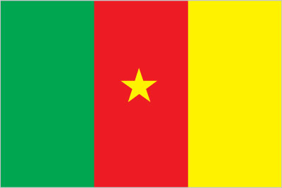 Flag of Cameroon